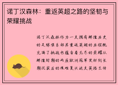 诺丁汉森林：重返英超之路的坚韧与荣耀挑战